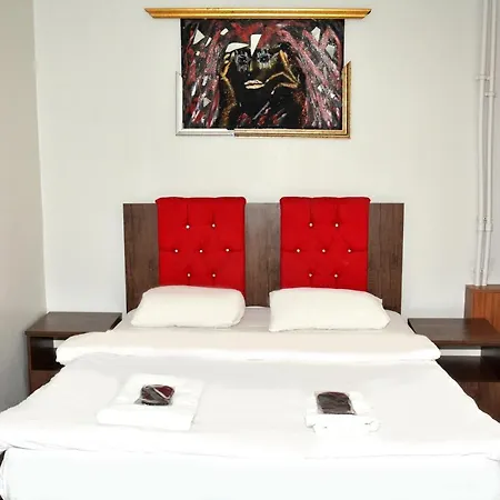 Palmiye Estambul