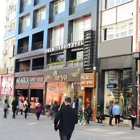 Palmiye Isztambul